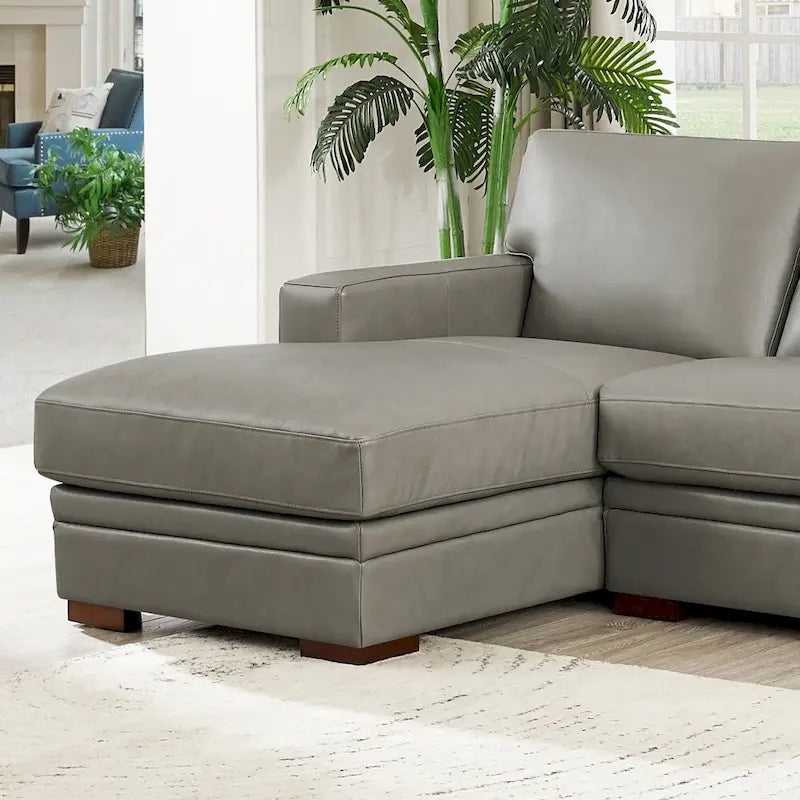 Dillon Top Grain Leather Left-Facing Sectional Sofa with Chaise